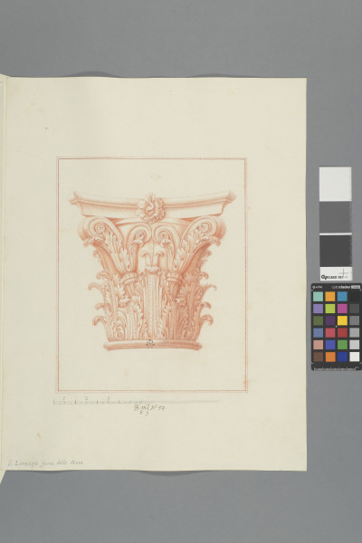 ECL-Bm.5_54-2012 image ECL-Bm.5_54-2012