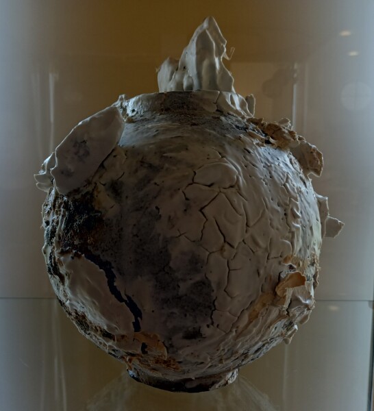 FDA-A.2563_1-2024-A image FDA-A.2563_1-2024-A