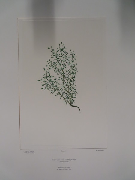 image FDA-E.2916_20_18-2016