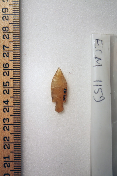 ECM.1159-2010-B image ECM.1159-2010-B