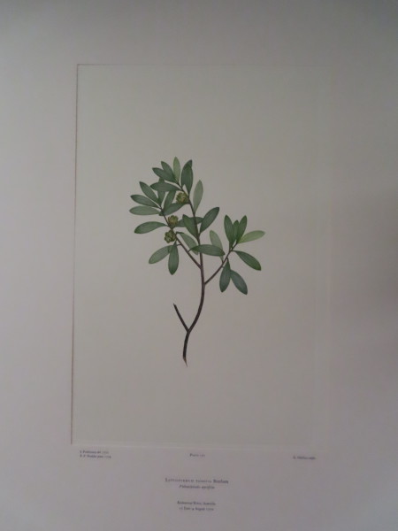 image FDA-E.2916_5_23-2016-A