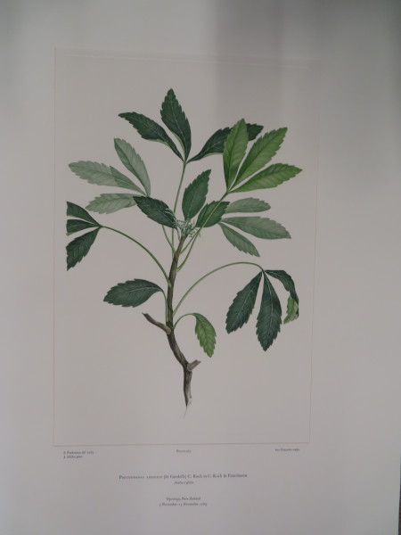 image FDA-E.2916_22_20-2016-A