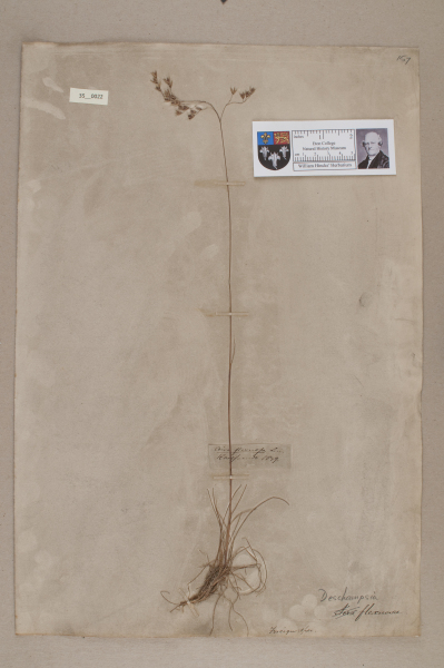 NHM_HH_35.22-2010 image NHM_HH_35.22-2010