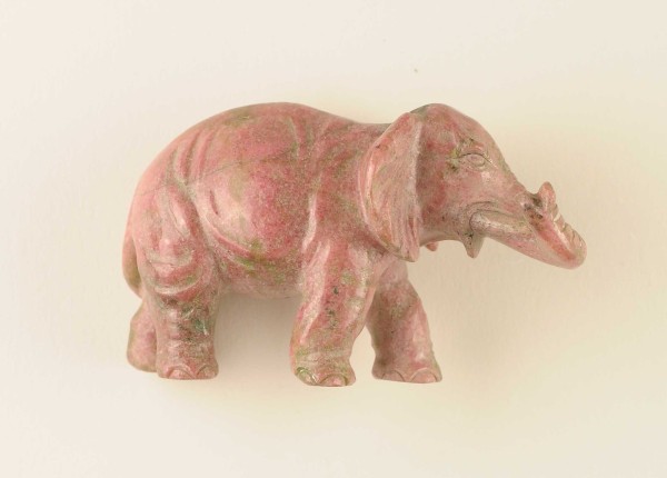 NHM-EE.108-2015 image NHM-EE.108-2015