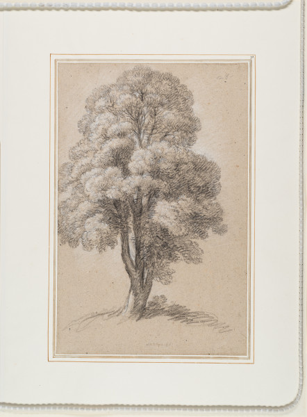 FDA-D.1172-2015-cr image FDA-D.1172-2015-cr