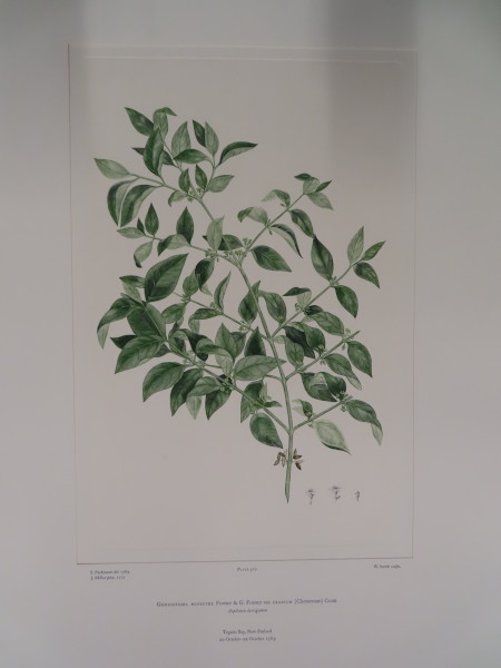 FDA-E.2916_24_21-2016-A image FDA-E.2916_24_21-2016-A