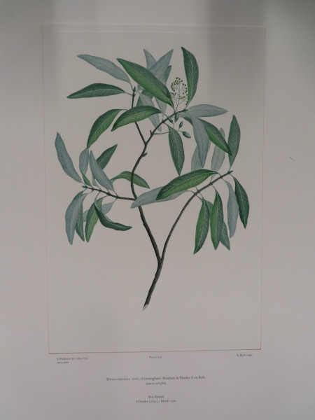 FDA-E.2916_26_4-2016-A image FDA-E.2916_26_4-2016-A