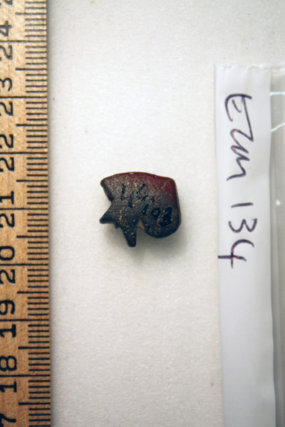 ECM.134-2010-B image ECM.134-2010-B