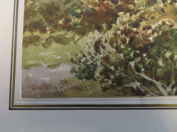 FDA-D.1710-2023-K image FDA-D.1710-2023-K