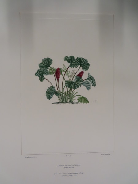 image FDA-E.2916_32_20-2016