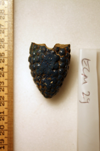 ECM.29-2010-A image ECM.29-2010-A