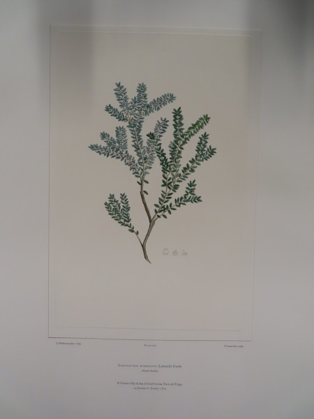 FDA-E.2916_34_7-2016-A image FDA-E.2916_34_7-2016-A