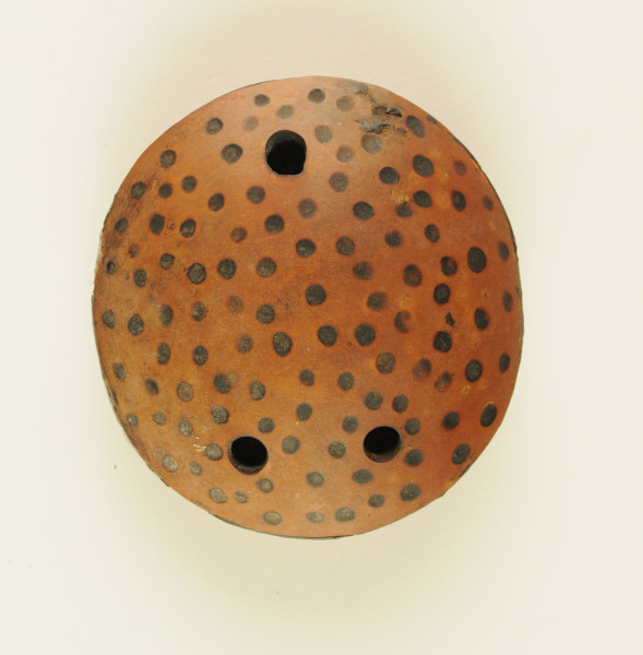 NHM-HT.105-2014 image NHM-HT.105-2014