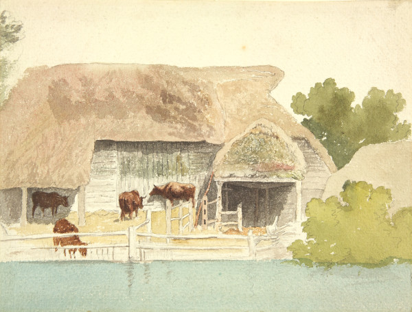 image FDA-D.289-2010