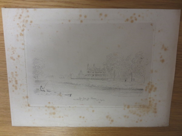 FDA-E.2459-2015 image FDA-E.2459-2015