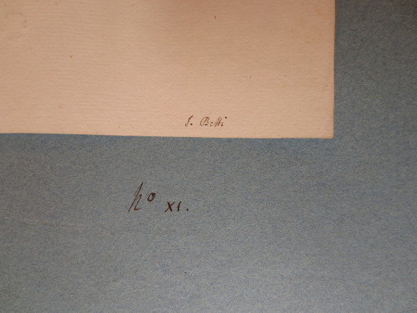 ECL-Bm.13_11-2013-C image ECL-Bm.13_11-2013-C