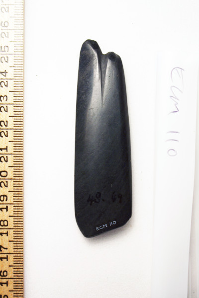 ECM.110-2010-B image ECM.110-2010-B