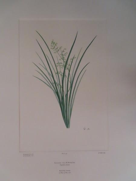 image FDA-E.2916_15_21-2016