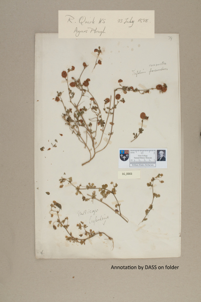 NHM_HH_16.3-2010 image NHM_HH_16.3-2010