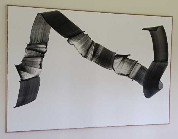 image FDA-D.1772-2024-A