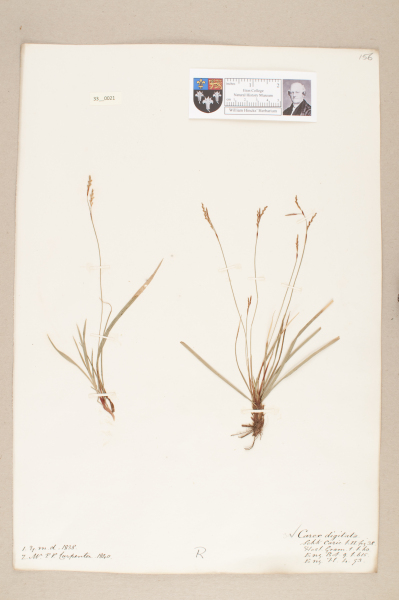 NHM_HH_33.21-2010 image NHM_HH_33.21-2010