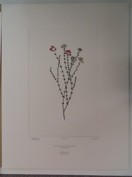 image FDA-E.2916_3_8-2016