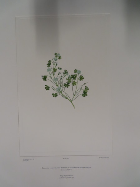 FDA-E.2916_20_23-2016-A image FDA-E.2916_20_23-2016-A