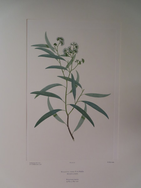 image FDA-E.2916_6_12-2016