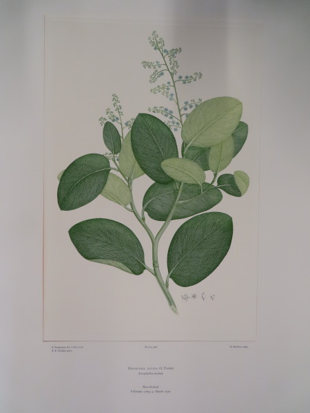 image FDA-E.2916_22_25-2016-A