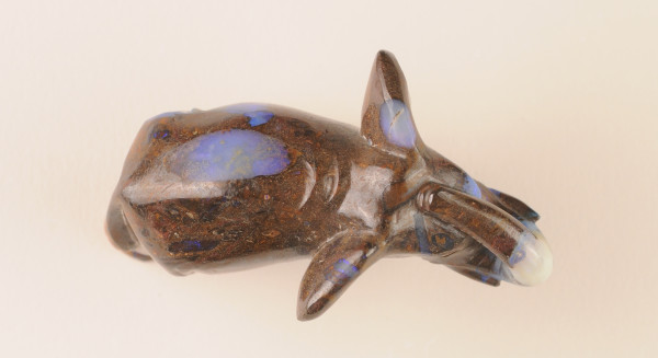 NHM-EE.93-2015-A image NHM-EE.93-2015-A