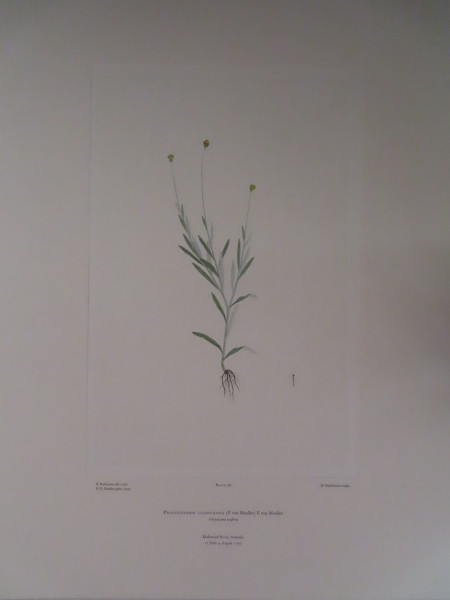 image FDA-E.2916_8_12-2016