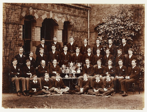 PA-PHA.1_37-2023 image PA-PHA.1_37-2023