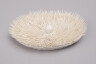 image FDA-A.2564-2024-crB