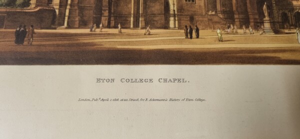 FDA-E.3331-2026-B image FDA-E.3331-2026-B