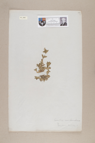 NHM_HH_9.40-2010 image NHM_HH_9.40-2010