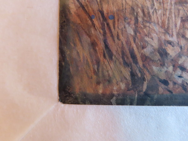 FDA-D.1695-2023-I image FDA-D.1695-2023-I