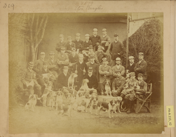 PA-A.115_42-2013 image PA-A.115_42-2013