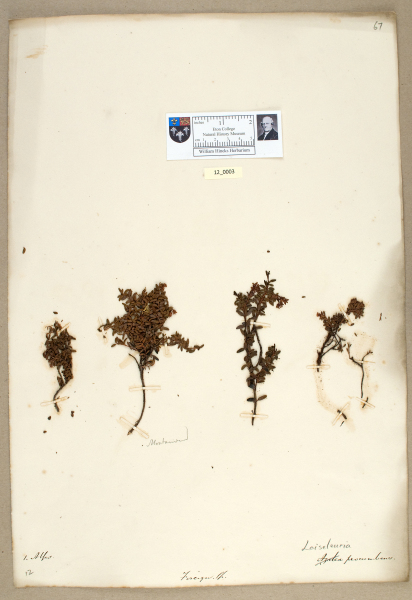 NHM_HH_12.3-2010 image NHM_HH_12.3-2010