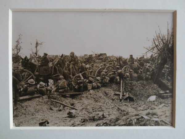 ECL-O.110-2014 image ECL-O.110-2014