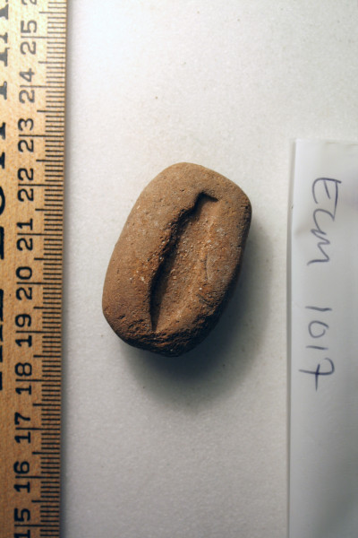 ECM.1017-2010-A image ECM.1017-2010-A