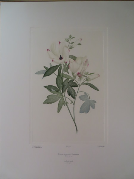 FDA-E.2916_2_4-2016-A image FDA-E.2916_2_4-2016-A