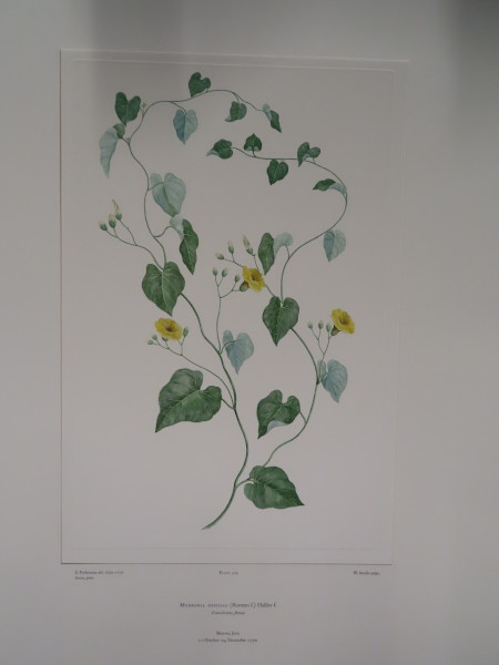 FDA-E.2916_17_17-2016-A image FDA-E.2916_17_17-2016-A