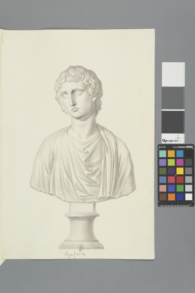 ECL-Bm.5_74-2012 image ECL-Bm.5_74-2012