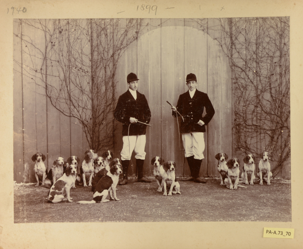 PA-A.73_70-2013 image PA-A.73_70-2013