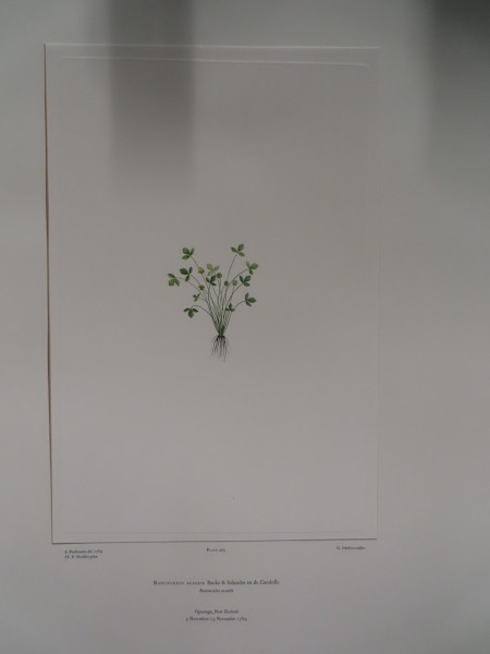 image FDA-E.2916_20_5-2016