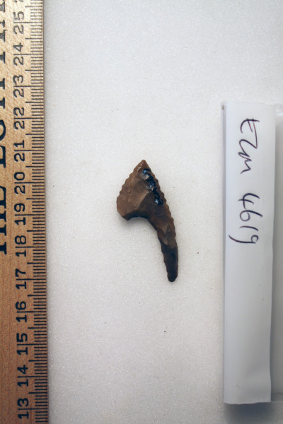 ECM.4619-2017-B image ECM.4619-2017-B