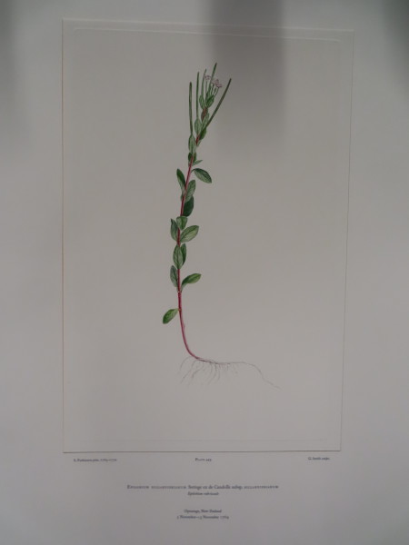 image FDA-E.2916_22_6-2016