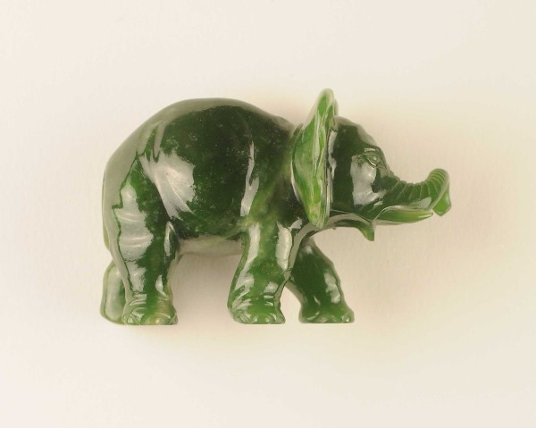 NHM-EE.102-2015 image NHM-EE.102-2015