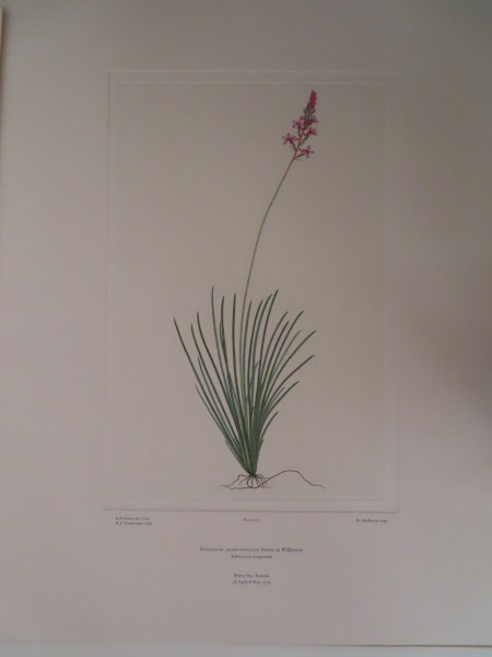 image FDA-E.2916_8_17-2016