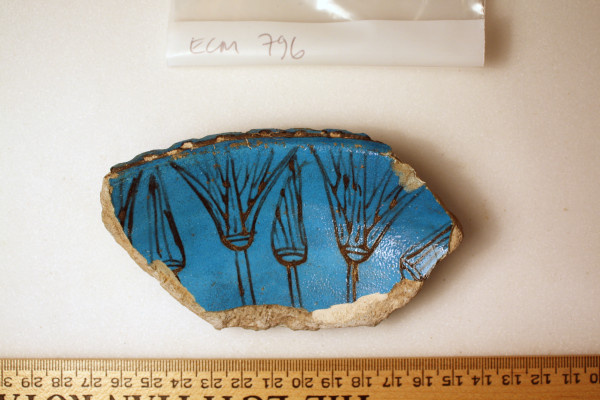 ECM.796-2010-A image ECM.796-2010-A